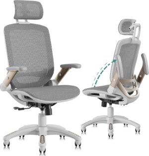 Top 10 Best Office Chairs 2026
