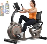 Niceday Recumbent Exercise Bike, Recumbent Bike for Home, Recumbent Stationary Bike