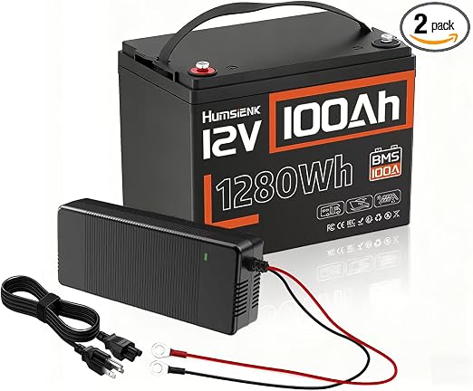 HumsiENK 12V 100Ah LiFePO4 Battery Group 24-100A BMS with Low Temp Cutoff