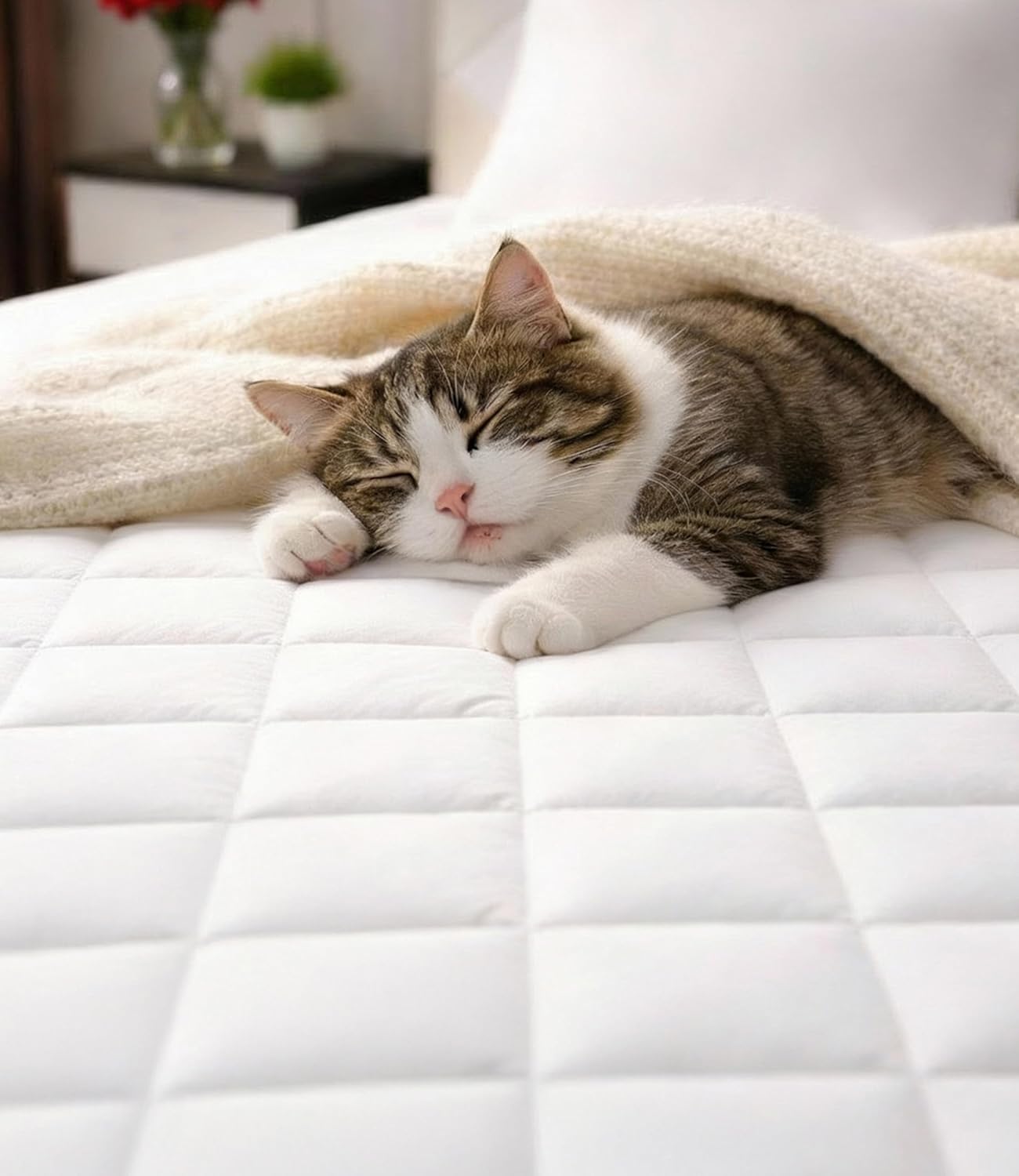 Quilted Fitted Mattress Pad Protector Queen Size - Elastic Fitted Mattress Topper & Cover - Breathable, Soft, Low Profile Top Cover with 8-16 Inch Deep...