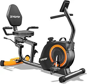 Recumbent Exercise Bike for Home Use, Quiet Recumbent Stationary Bikes for Adults & Seniors